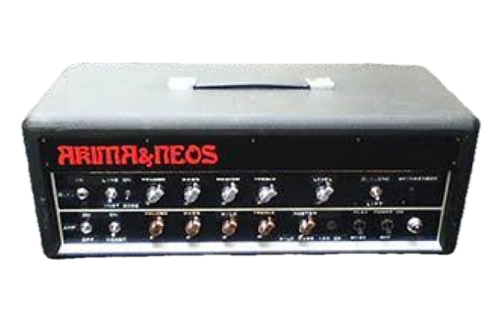 Wild Bass 100 DX