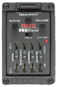 Prefix Pro Onboard Preamp