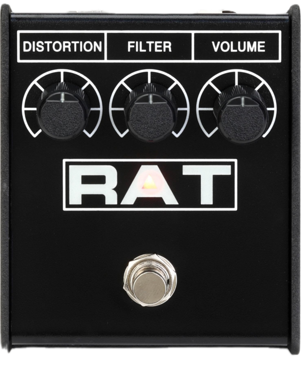 The Rat