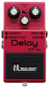 DM-2W Delay