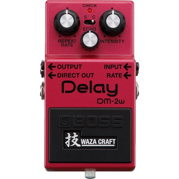 DM-2W Delay