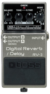 RV-3 Digital Reverb/Delay