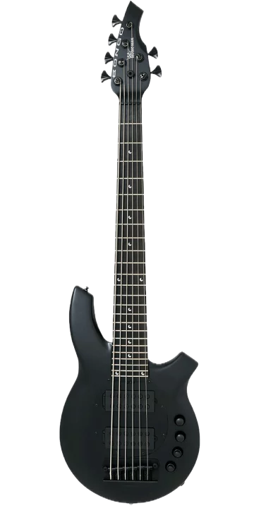 Bongo Bass
