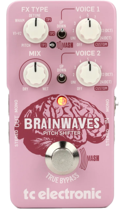 Brainwaves