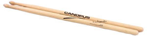 Noriyasu Kawamura Model