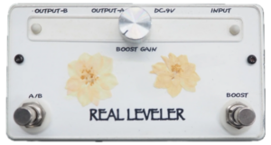REAL LEVELER
