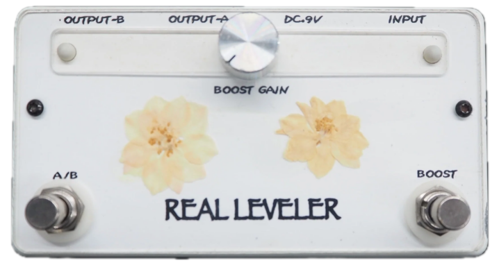 REAL LEVELER