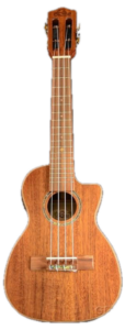 LHUC-ASAK-CE