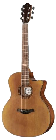 AR11C/ACE