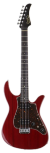 Custom Order Guitar