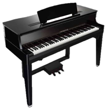 AvantGrand N1X